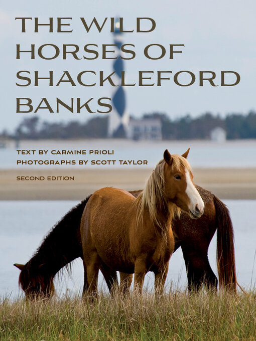 Title details for Wild Horses of Shackleford Banks by Carmine Prioli - Available